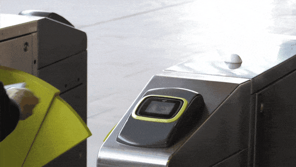 RICK & MORTY MERGE DIVERGE DLXSR BACKPACK