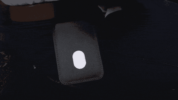 THE GRADUATES DLXSR BACKPACK