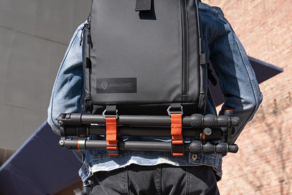 MONEY BEAR CITY LIGHTS BACKPACK