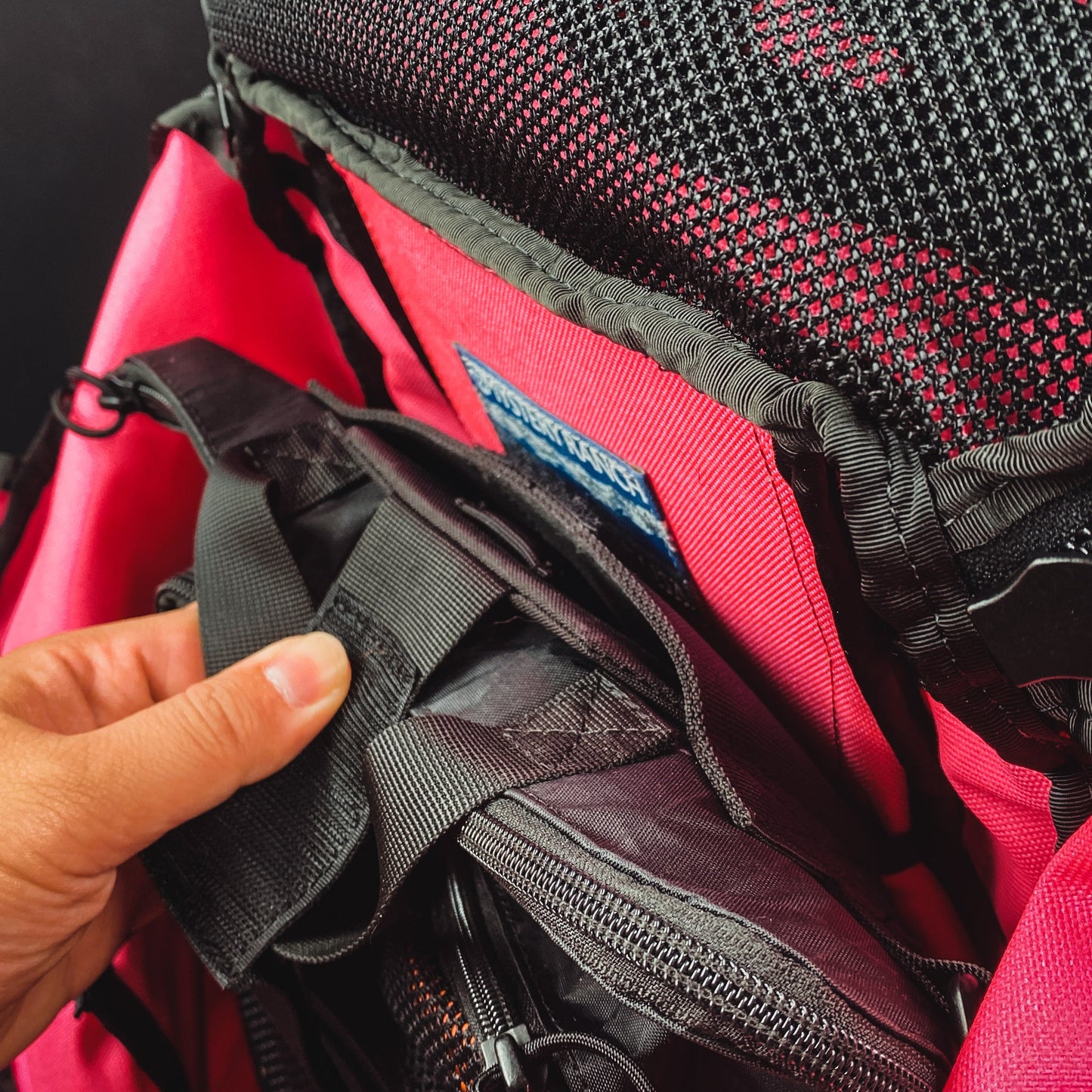 CAZZU ERRORCITO PUNK SHARK BACKPACK