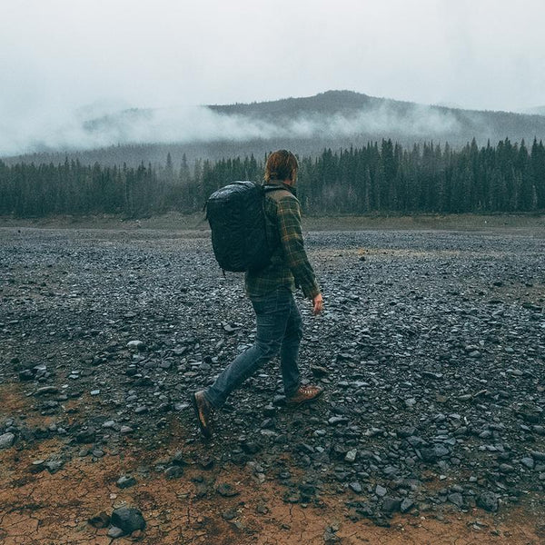 MONEY BEAR MIND OVER MATTER DLXSV BACKPACK