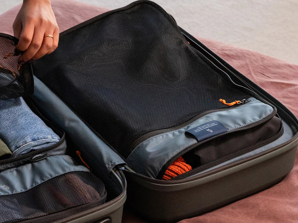 MONEY SHARK SPLIT BACKPACK